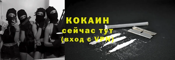 хмурый Белокуриха