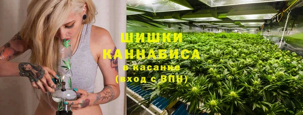хмурый Белокуриха