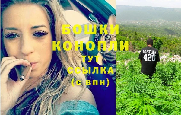 мдма Тайга
