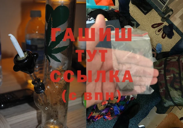 хмурый Белокуриха