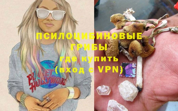 хмурый Белокуриха