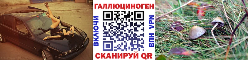 где купить наркоту  Катайск  hydra ССЫЛКА  Псилоцибиновые грибы Psilocybe 